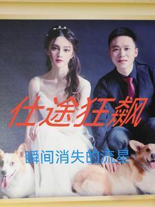 仕途狂飙沈清晏