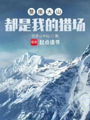 整座大山都是我的猎场免费听书