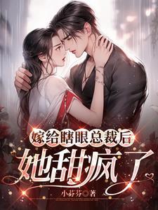 嫁给瞎子后我进了豪门