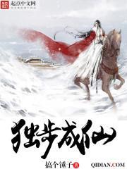 百炼飞升录