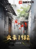 文豪1978免费阅读