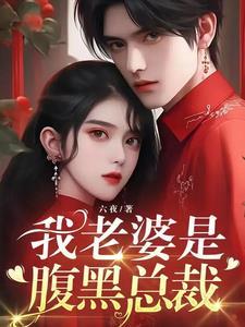 我老婆是冰山女总裁沈浪免费阅读