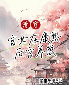 清穿康熙后宫嫔妃