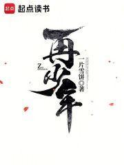 可否许我再少年上一句是啥