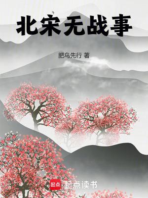 北宋无将南宋无相是什么意思