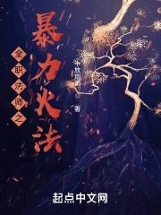 全职法师火系高阶