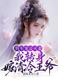 将军宠妾