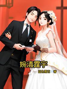 婉清是什么