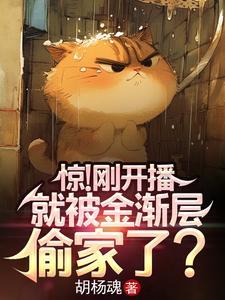 金渐层猫被抛弃