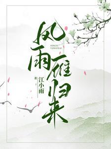 风雨雁归来5