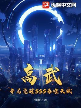 高武开局觉醒sss级双子星核 风无雨