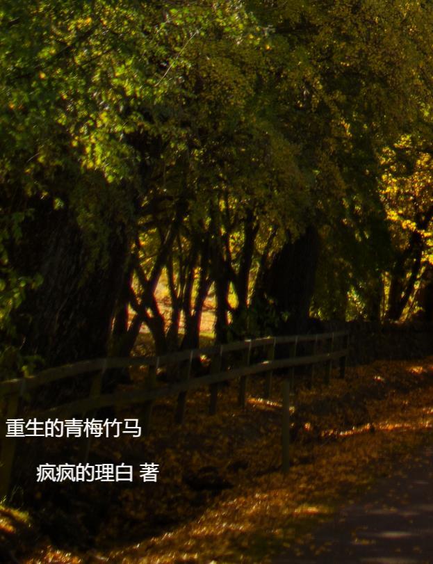 重生的青梅竹马po