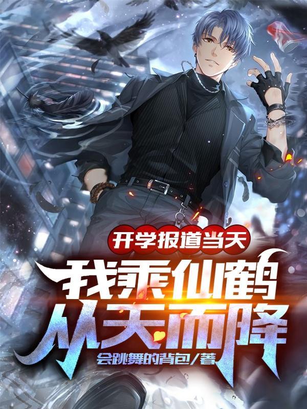 我乘仙鹤从天而降盗版