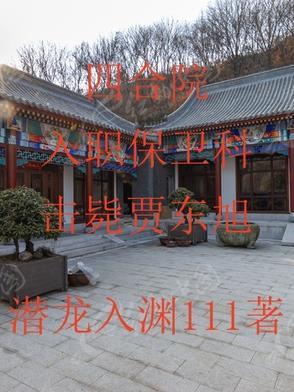 四合院之贾爸