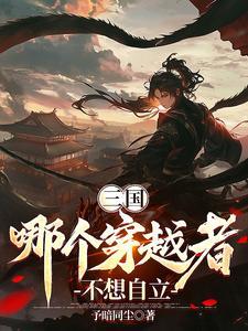 三国我从当县令开始作者纵横三国