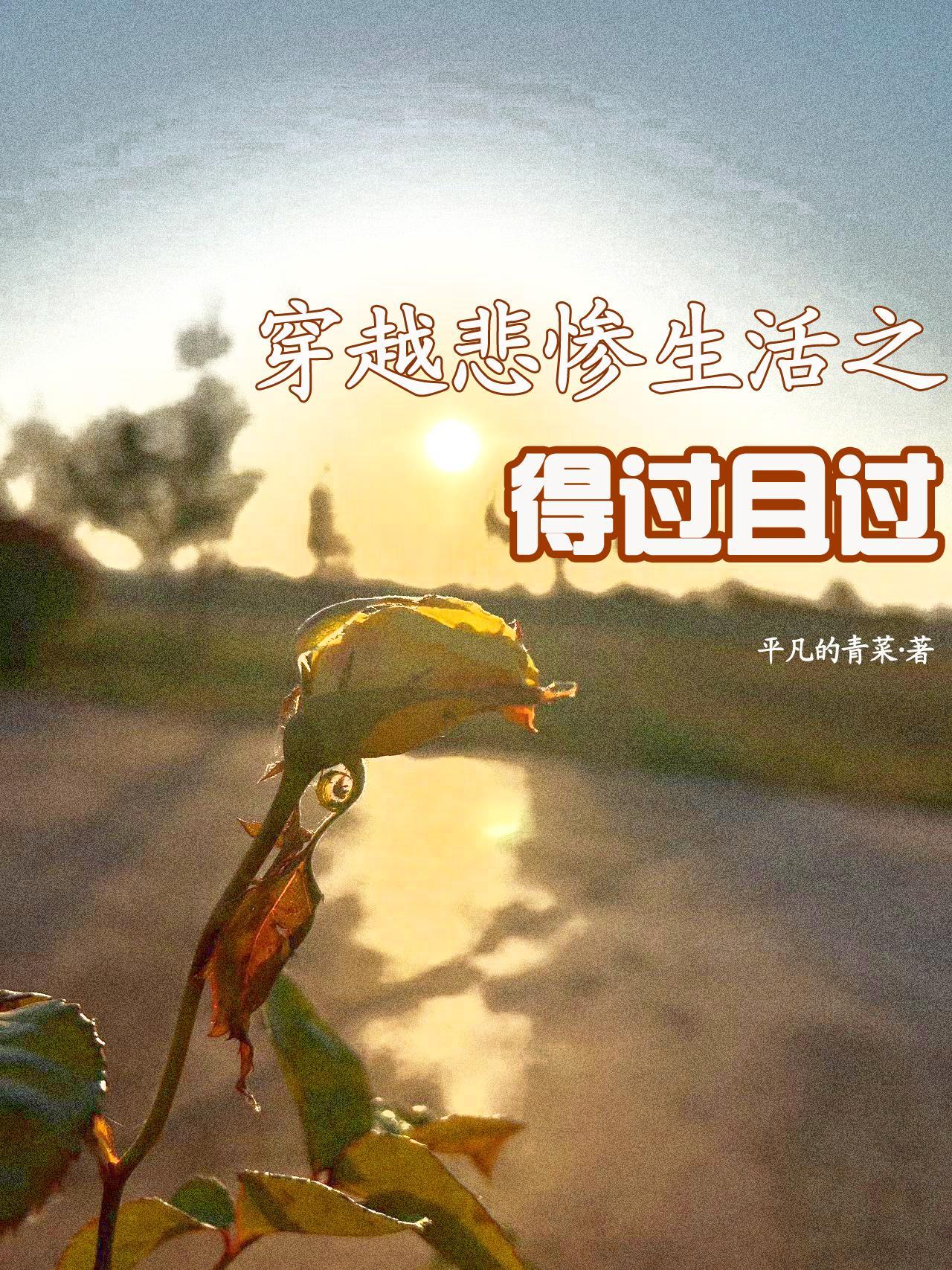 穿越悲惨生活之得过且过 平凡的青菜