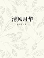 清风朗月