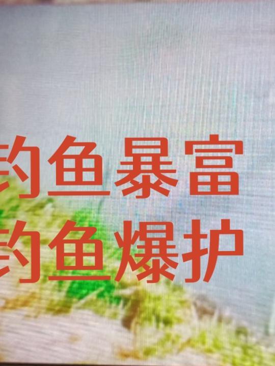 钓鱼暴富钓鱼爆护南丐四爷笔趣阁