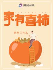 家有喜柿全本免费阅读