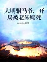 大明最强驸马系统